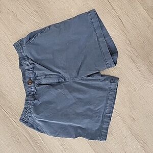 Chubbies - Mens Medium Navy 5.5" Shorts